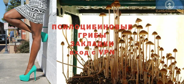 ГАЛЛЮЦИНОГЕННЫЕ ГРИБЫ Балахна